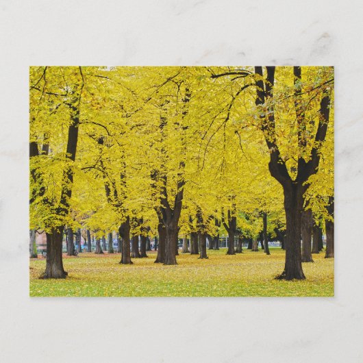 Carte Postale d'Automne (Devant)