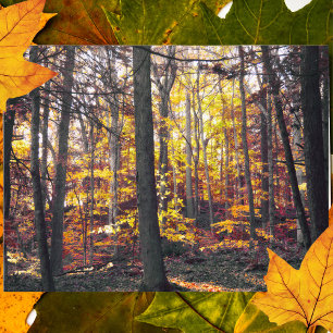 Carte postale d'automne colorée noir et blanc