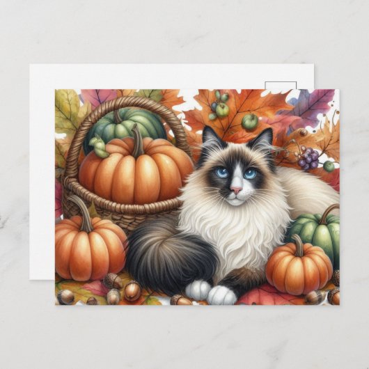 Carte postale d'automne de chat ragdoll joyeuse (Devant / Derrière)