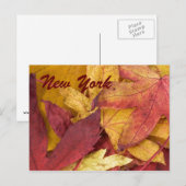 Carte postale d'automne de New York (Devant / Derrière)
