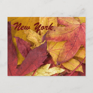 Carte postale d'automne de New York