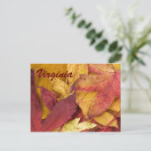 Carte postale d'automne de Virginie (Debout devant)