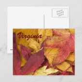 Carte postale d'automne de Virginie (Devant / Derrière)