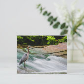 Carte Postale David Fortier River Park, Olmsted Falls, Ohio (Debout devant)