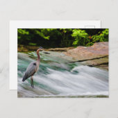 Carte Postale David Fortier River Park, Olmsted Falls, Ohio (Devant / Derrière)