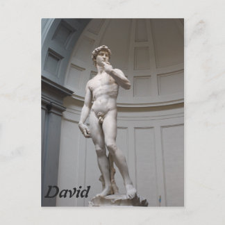 Carte Postale David par Michelangelo- Florence