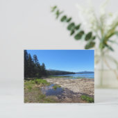 Carte Postale Davis Lake, Oregon (Debout devant)