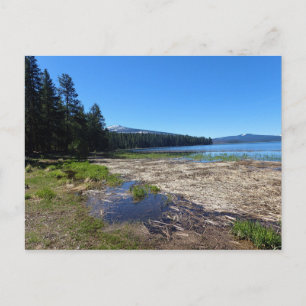 Carte Postale Davis Lake, Oregon