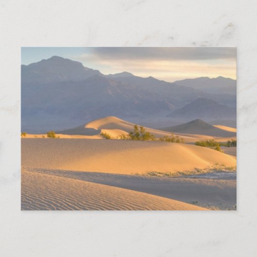 Carte Postale Dawn du désert (Devant)