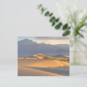 Carte Postale Dawn du désert (Debout devant)