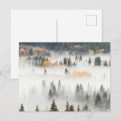 Carte Postale Dawn Ground Fog Covers Mountain Forest (Devant / Derrière)