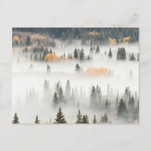Carte Postale Dawn Ground Fog Covers Mountain Forest
