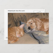 Carte Postale Dax et Chance Share (Devant / Derrière)