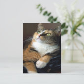 Carte postale Day Dreamer (Debout devant)