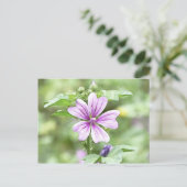 Carte Postale Daybreak - Fleur de Mallow (Debout devant)