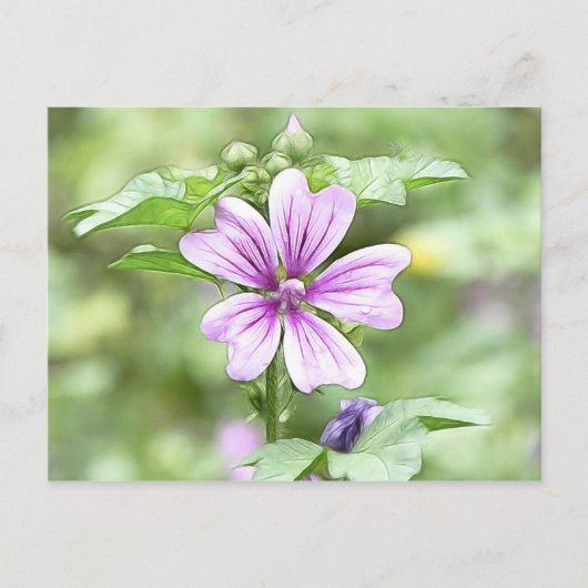Carte Postale Daybreak - Fleur de Mallow (Devant)