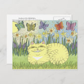 Carte Postale Daydream de la Daffodil Tabby (Devant / Derrière)