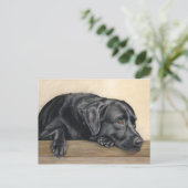 Carte Postale Daydreamer (Debout devant)