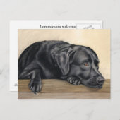 Carte Postale Daydreamer (Devant / Derrière)