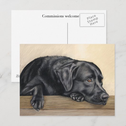 Carte Postale Daydreamer (Devant / Derrière)