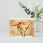 Carte Postale Daylilies - Hemerocallis (Debout devant)