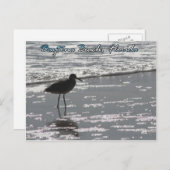 Carte postale Daytona Beach (Devant / Derrière)