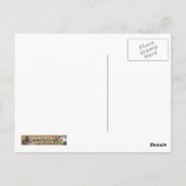 CARTE POSTALE DAZZLE (Dos)