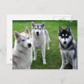 Carte Postale de (Devant / Derrière)