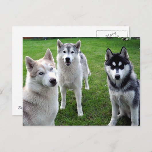 Carte Postale de (Devant / Derrière)