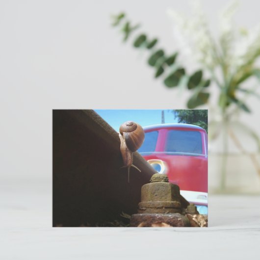 Carte Postale de (Debout devant)