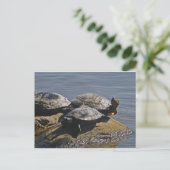 Carte Postale de (Debout devant)