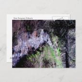 Carte postale de À feuillage persistant, Colorado (Devant / Derrière)