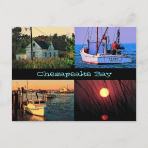 Carte postale de baie de chesapeake