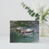 Carte postale de baignade (Debout devant)