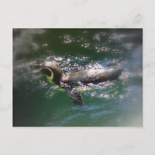 Carte postale de baignade (Devant)