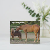 Carte postale de baisers de cheval (Debout devant)