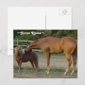 Carte postale de baisers de cheval (Devant / Derrière)