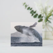 Carte postale de baleine à bosse (Debout devant)