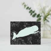carte postale de baleine blanche (Debout devant)