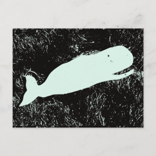carte postale de baleine blanche