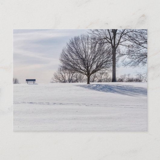 Carte postale de banc sur une colline enneigée (Devant)