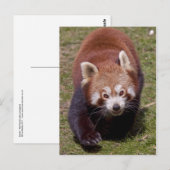 Carte postale de bandit (Devant / Derrière)