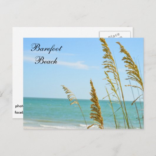 Carte postale de Barefoot Beach (Devant / Derrière)