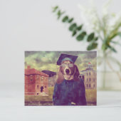 Carte postale de basset de fin d'études (Debout devant)