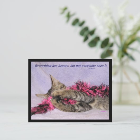 Carte postale de beauté (Debout devant)