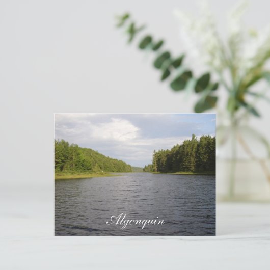 Carte postale de beauté Algonquin (Debout devant)