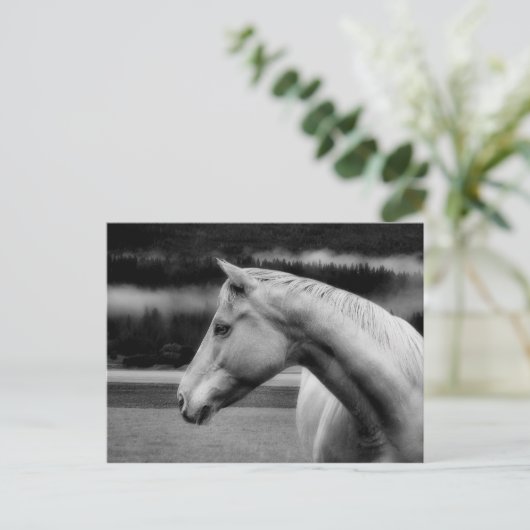 Carte postale de beauté blanche (Debout devant)