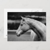 Carte postale de beauté blanche (Devant / Derrière)