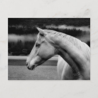 Carte postale de beauté blanche