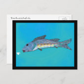 Carte postale de beauté d'hiver (Devant / Derrière)